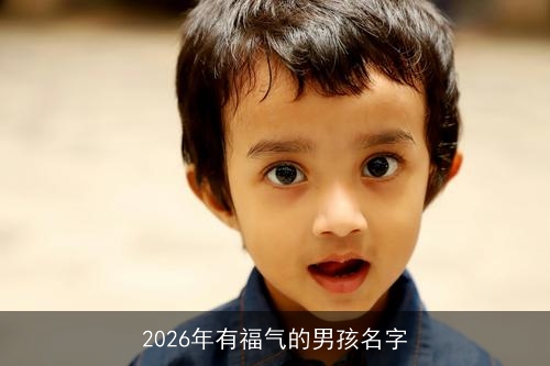 2026年有福气的男孩名字