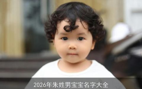 2026年朱姓男宝宝名字大全