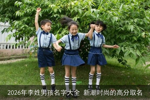 2026年李姓男孩名字大全 新潮时尚的高分取名