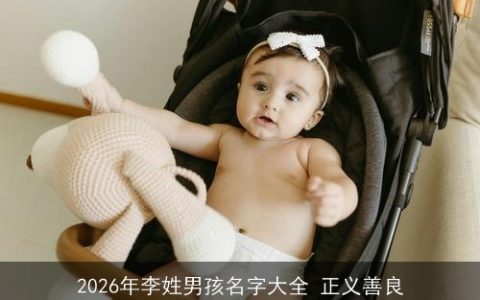 2026年李姓男孩名字大全 正义善良