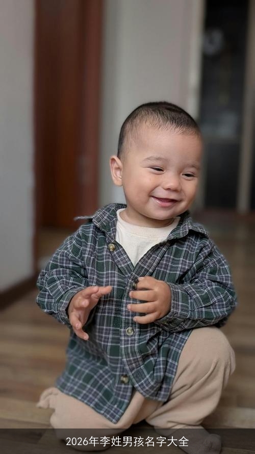 2026年李姓男孩名字大全