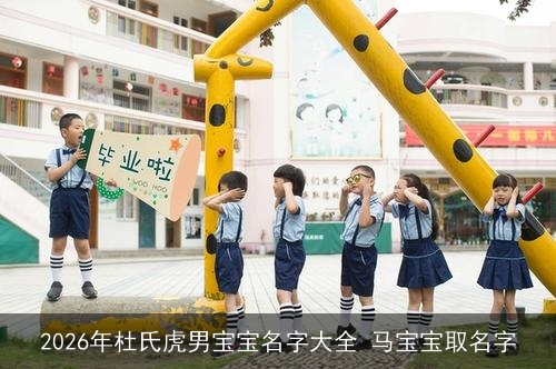 2026年杜氏虎男宝宝名字大全 马宝宝取名字