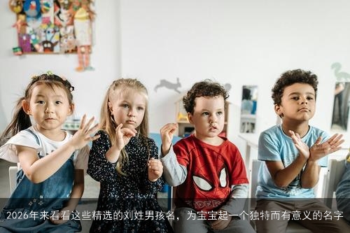 2026年来看看这些精选的刘姓男孩名，为宝宝起一个独特而有意义的名字