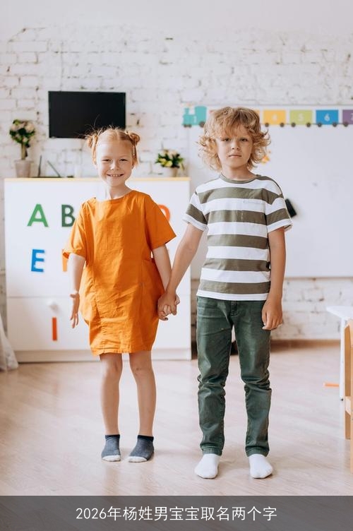 2026年杨姓男宝宝取名两个字