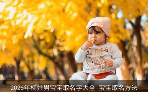 2026年杨姓男宝宝取名字大全 宝宝取名方法