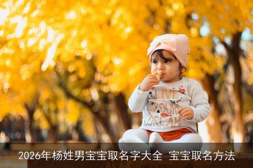 2026年杨姓男宝宝取名字大全 宝宝取名方法