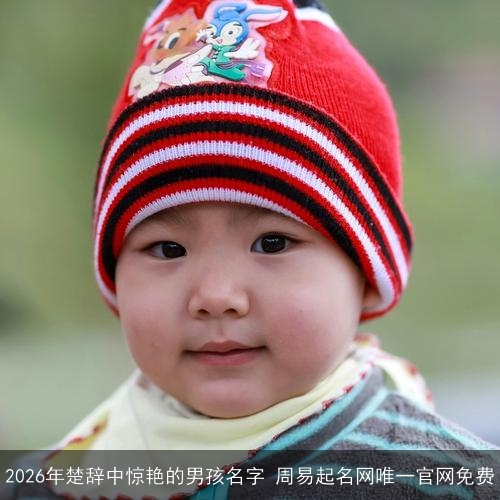 2026年楚辞中惊艳的男孩名字 周易起名网唯一官网免费