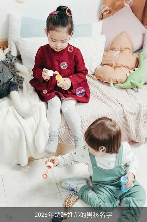 2026年楚辞姓郝的男孩名字