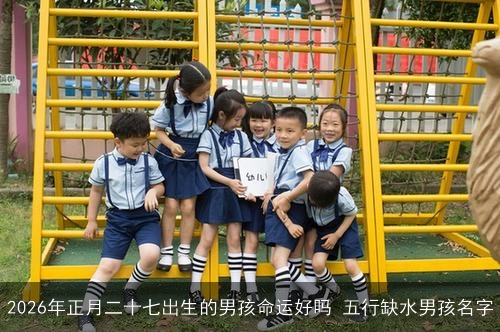 2026年正月二十七出生的男孩命运好吗 五行缺水男孩名字