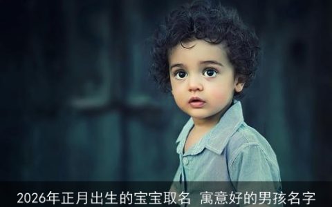 2026年正月出生的宝宝取名 寓意好的男孩名字