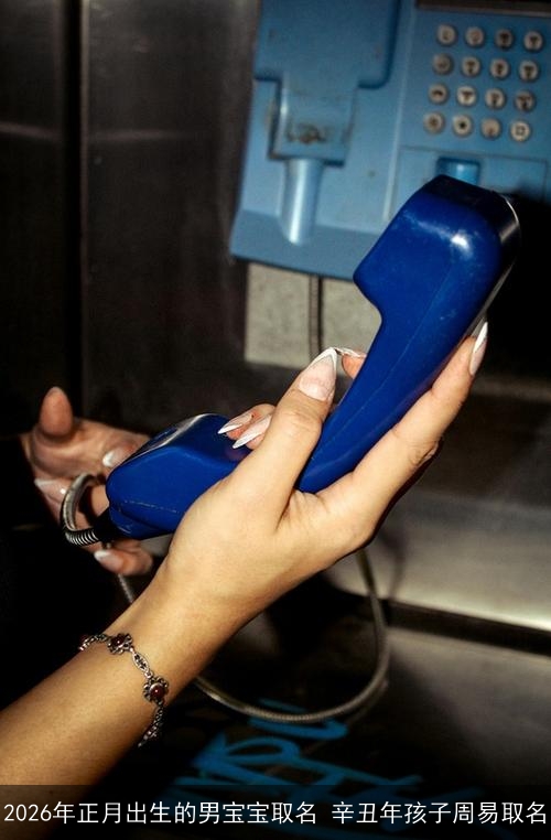 2026年正月出生的男宝宝取名 辛丑年孩子周易取名
