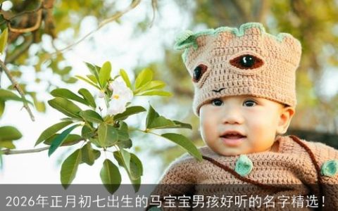 2026年正月初七出生的马宝宝男孩好听的名字精选！