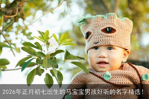 2026年正月初七出生的马宝宝男孩好听的名字精选！