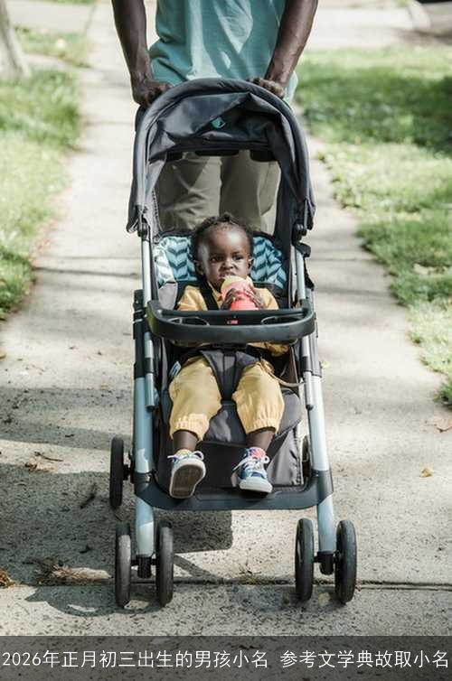 2026年正月初三出生的男孩小名 参考文学典故取小名