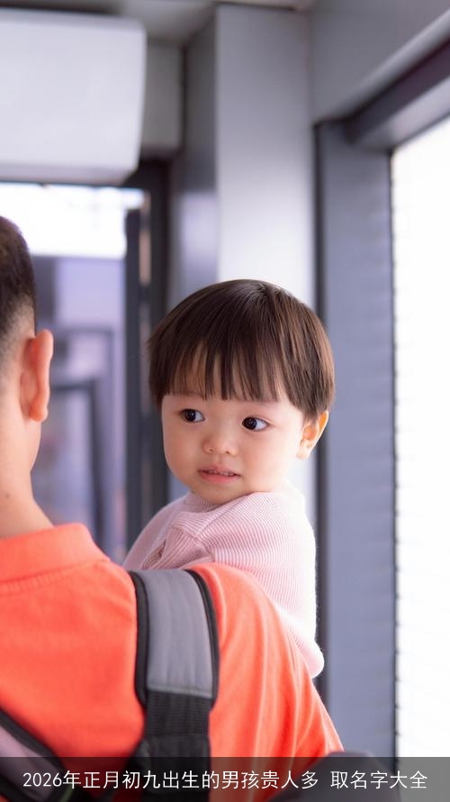 2026年正月初九出生的男孩贵人多 取名字大全