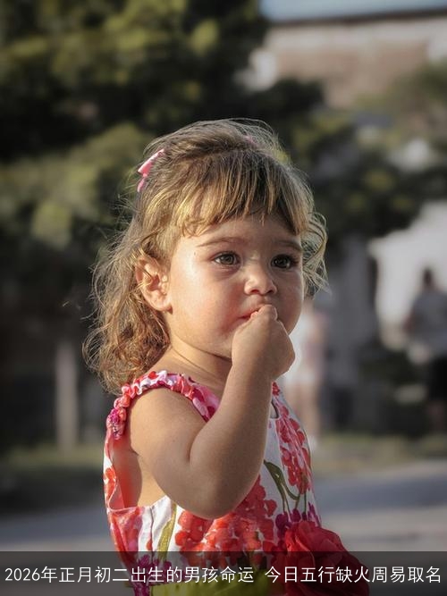 2026年正月初二出生的男孩命运 今日五行缺火周易取名