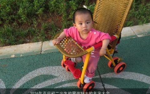 2026年正月初二出生的男孩缺土的名字大全精选 新颖有涵养的五行缺土的男孩名字大全最新