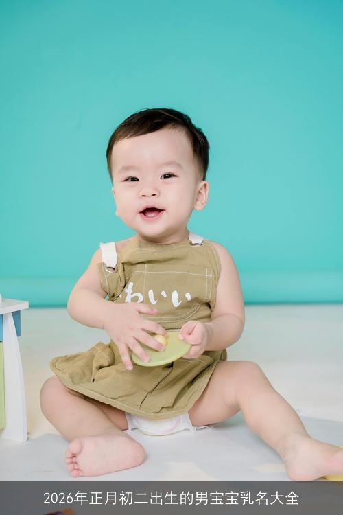 2026年正月初二出生的男宝宝乳名大全