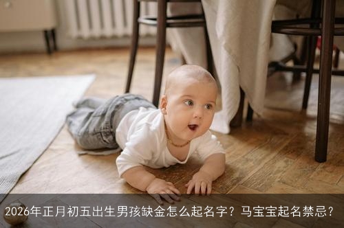 2026年正月初五出生男孩缺金怎么起名字？马宝宝起名禁忌？