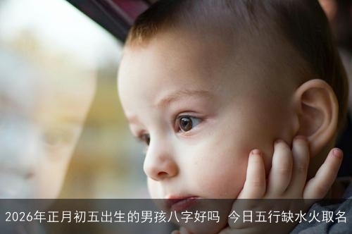 2026年正月初五出生的男孩八字好吗 今日五行缺水火取名