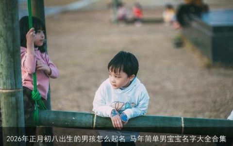 2026年正月初八出生的男孩怎么起名 马年简单男宝宝名字大全合集