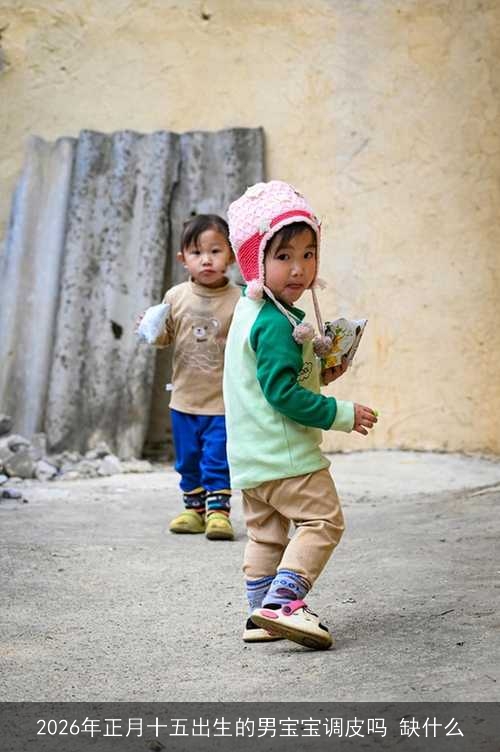 2026年正月十五出生的男宝宝调皮吗 缺什么