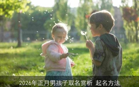 2026年正月男孩子取名赏析 起名方法