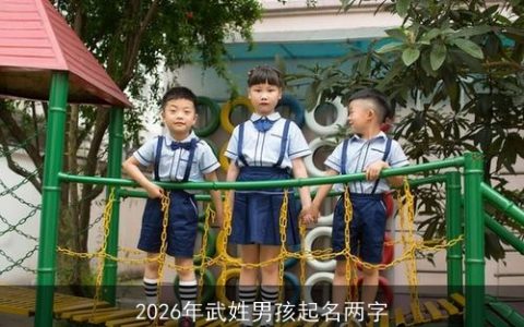 2026年武姓男孩起名两字