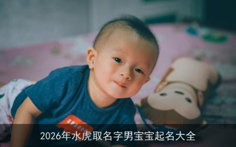 2026年水虎取名字男宝宝起名大全