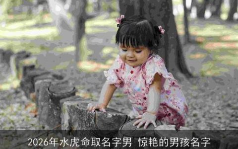 2026年水虎命取名字男 惊艳的男孩名字