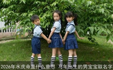 2026年水虎命是什么意思 马年出生的男宝宝取名字