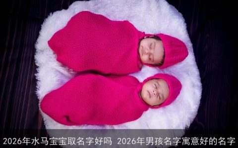 2026年水马宝宝取名字好吗 2026年男孩名字寓意好的名字