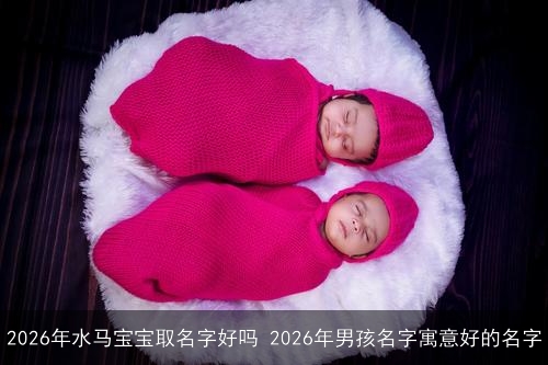 2026年水马宝宝取名字好吗 2026年男孩名字寓意好的名字