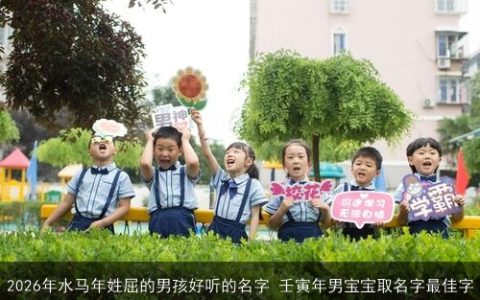 2026年水马年姓屈的男孩好听的名字 壬寅年男宝宝取名字最佳字