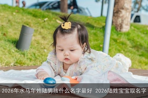 2026年水马年姓陆男孩什么名字最好 2026陆姓宝宝取名字