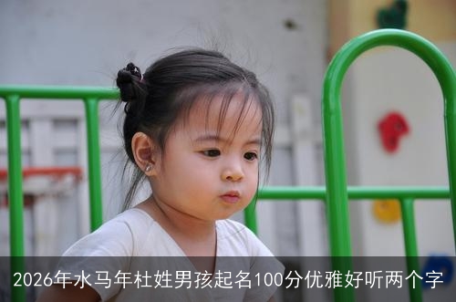 2026年水马年杜姓男孩起名100分优雅好听两个字