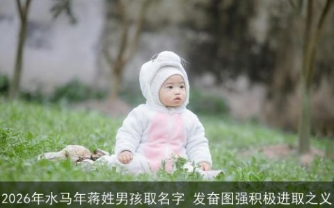 2026年水马年蒋姓男孩取名字 发奋图强积极进取之义