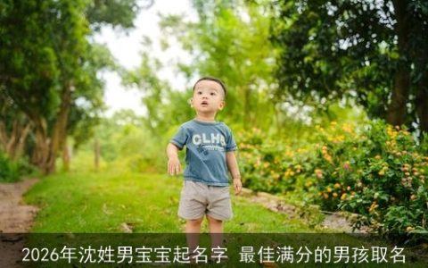 2026年沈姓男宝宝起名字 最佳满分的男孩取名