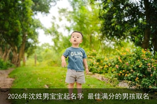 2026年沈姓男宝宝起名字 最佳满分的男孩取名