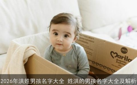 2026年洪姓男孩名字大全 姓洪的男孩名字大全及解析