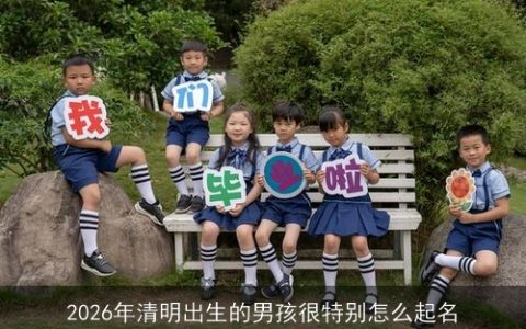 2026年清明出生的男孩很特别怎么起名