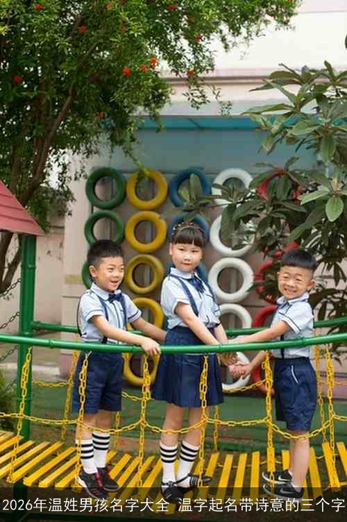 2026年温姓男孩名字大全 温字起名带诗意的三个字