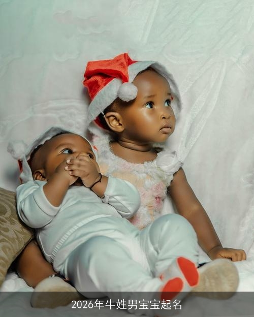 2026年牛姓男宝宝起名