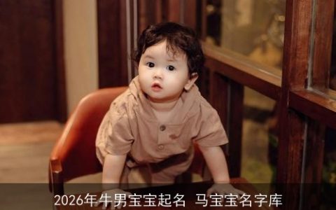 2026年牛男宝宝起名 马宝宝名字库