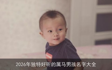 2026年独特好听的属马男孩名字大全