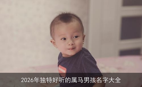 2026年独特好听的属马男孩名字大全