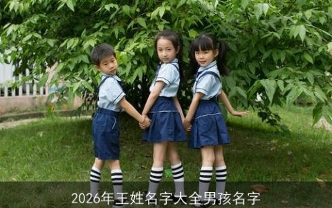 2026年王姓名字大全男孩名字