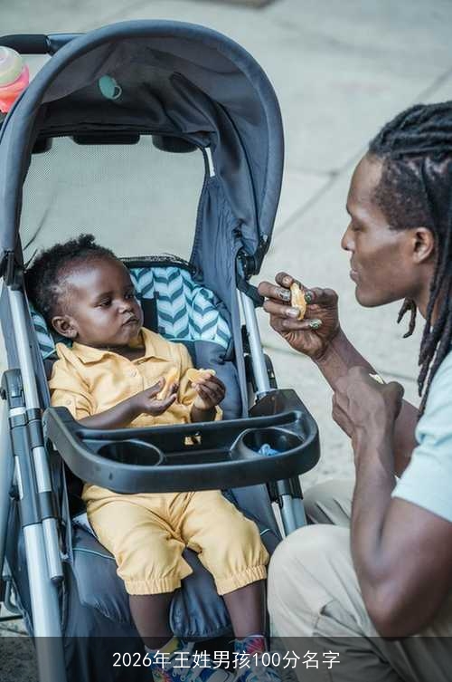 2026年王姓男孩100分名字