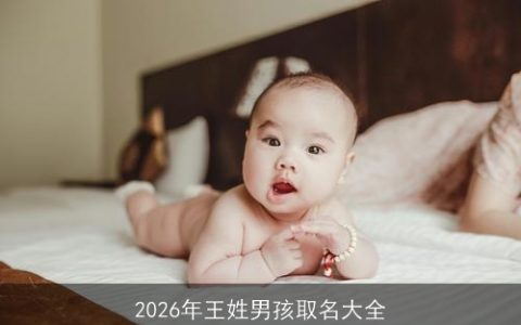 2026年王姓男孩取名大全