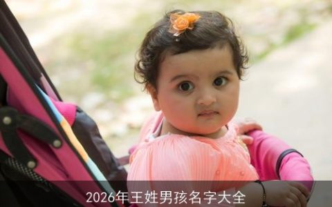 2026年王姓男孩名字大全